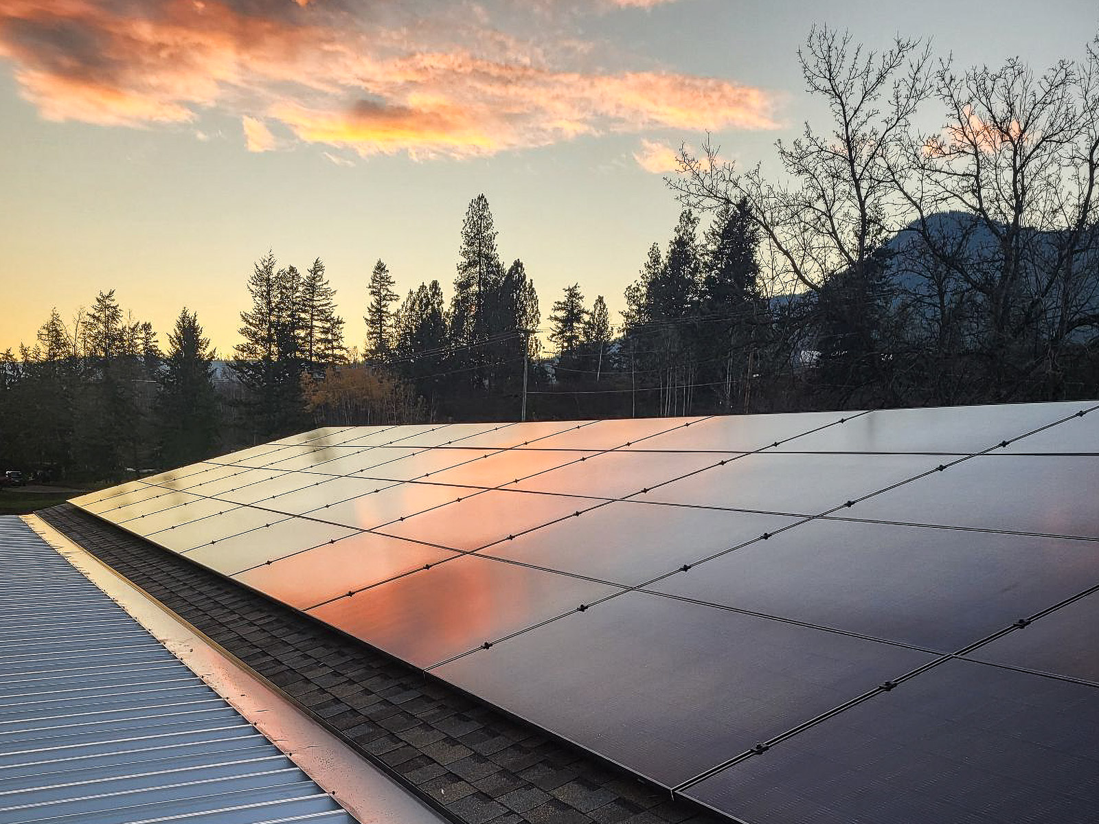 Image_20241106_16212464026711530683054-2